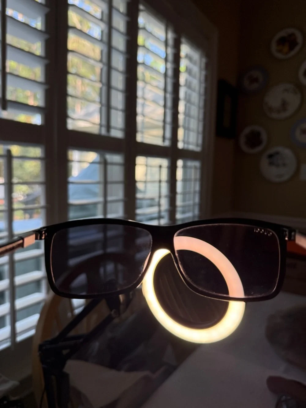Gucci GG1641/S with Certificate of Authenticity